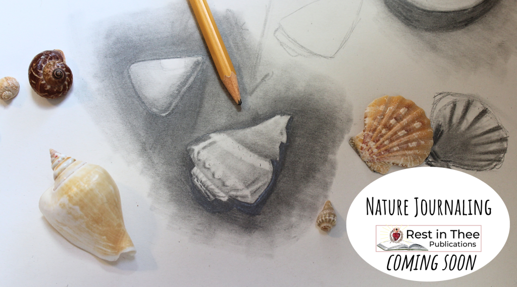 Pencil drawing with hb pencil of a shell and a rock on paper with 4 sea shells and text in a whote ellipse on the bottom right corner that says Nature Journaling Rest in Thee Publications Coming Soon